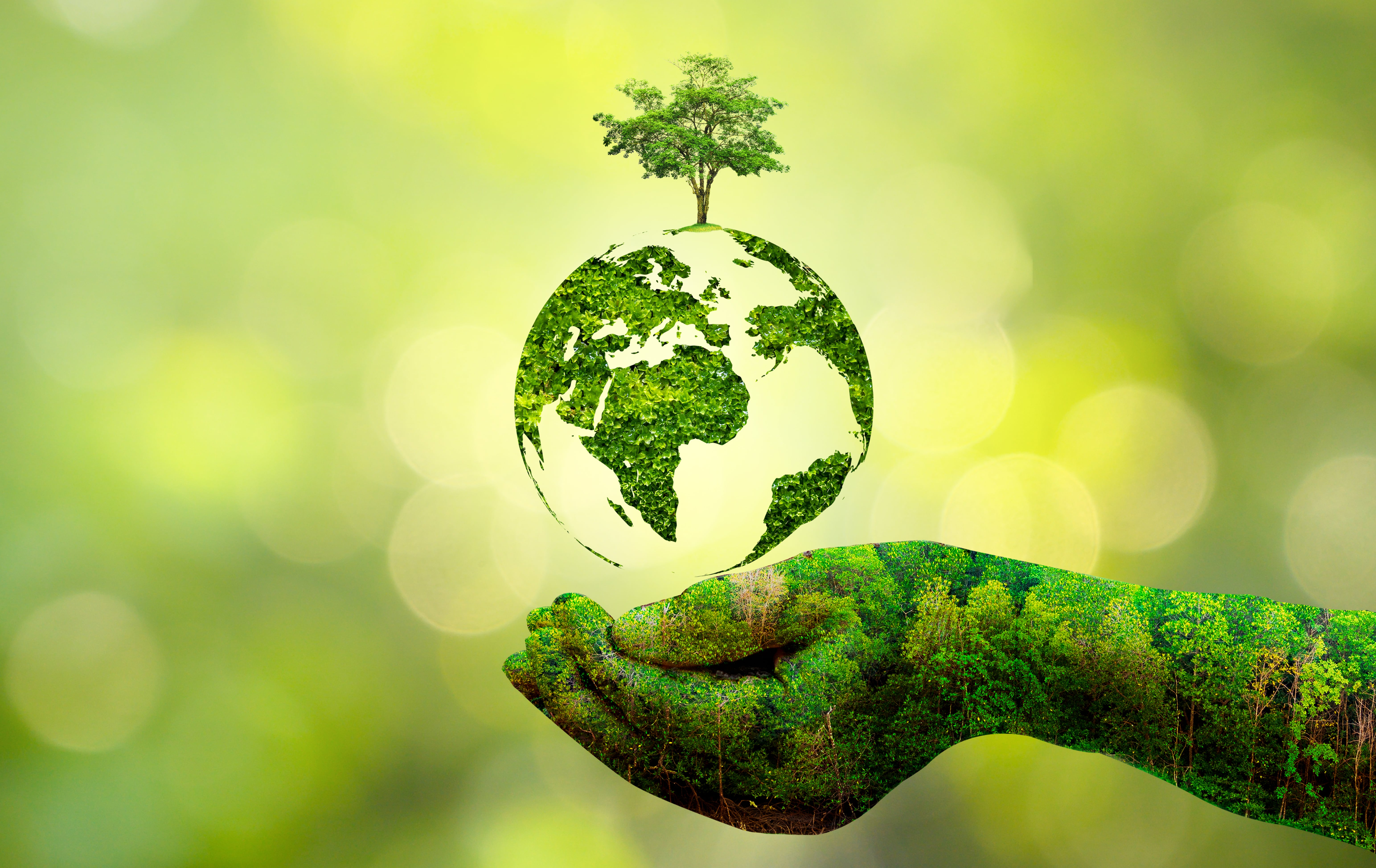 bio septic tank,bio septic tank experts,ecogenn,bio septic tank chennai